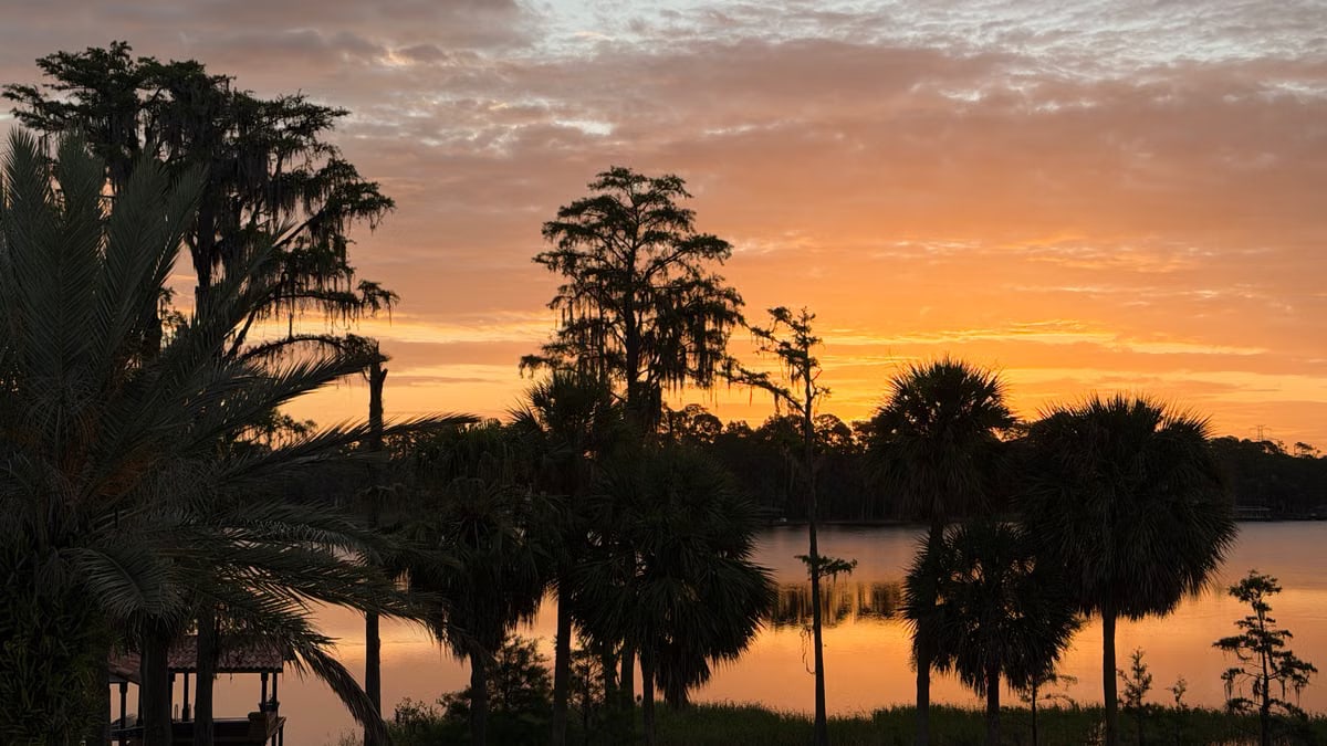 Beautiful sunset over a lake with silhouettes of cypress trees and a vibrant sky.